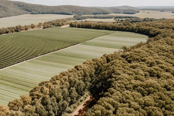 Agricultural Properties